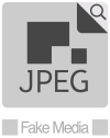 JPEG Fake Media Organization