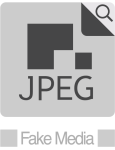 JPEG Fake Media Organization