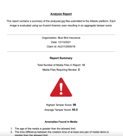 example of an Attestiv report