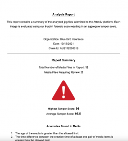 example of an Attestiv report